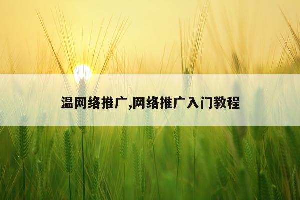 温网络推广,网络推广入门教程