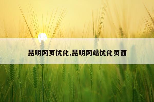 昆明网页优化,昆明网站优化页面
