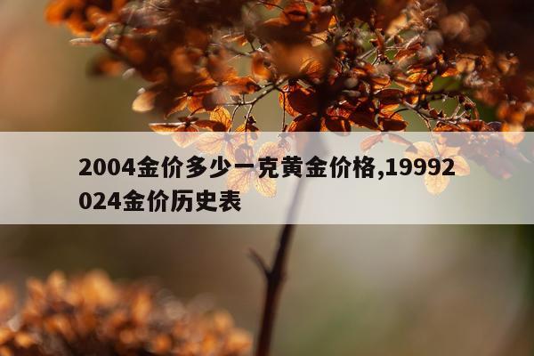2004金价多少一克黄金价格,19992024金价历史表