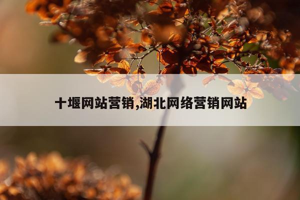 十堰网站营销,湖北网络营销网站