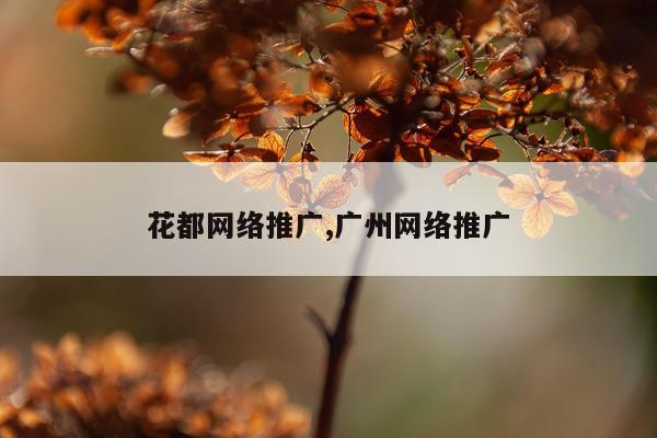 花都网络推广,广州网络推广