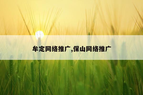 牟定网络推广,保山网络推广