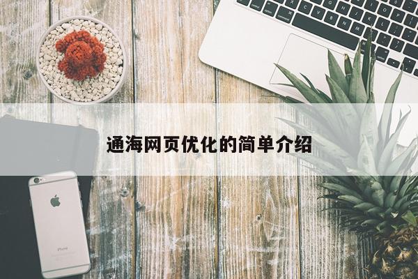 通海网页优化的简单介绍
