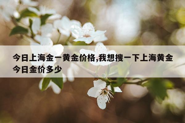 今日上海金一黄金价格,我想搜一下上海黄金今日金价多少