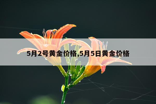 5月2号黄金价格,5月5日黄金价格