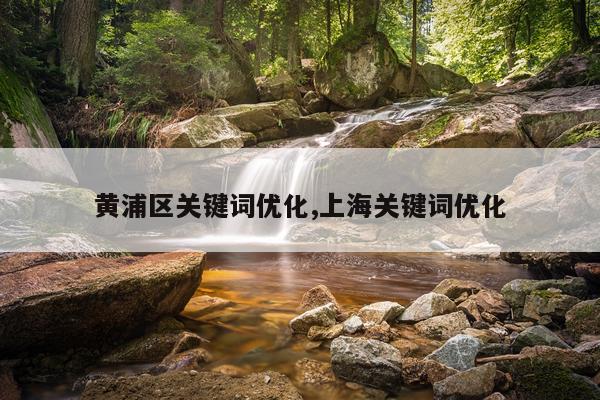 黄浦区关键词优化,上海关键词优化