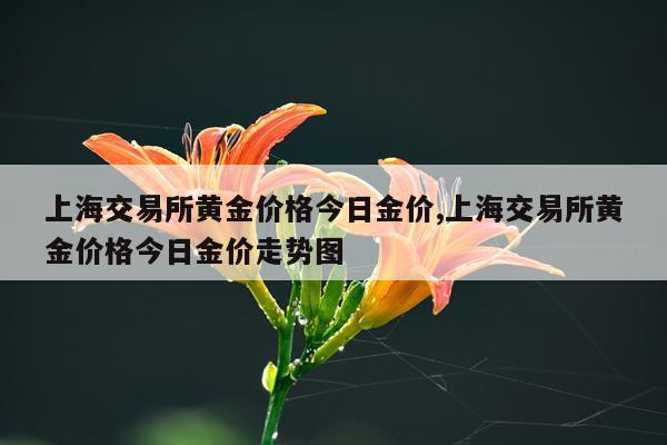 上海交易所黄金价格今日金价,上海交易所黄金价格今日金价走势图