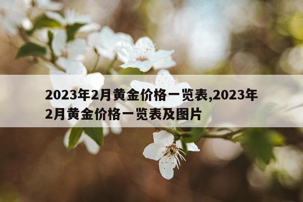 2023年2月黄金价格一览表,2023年2月黄金价格一览表及图片
