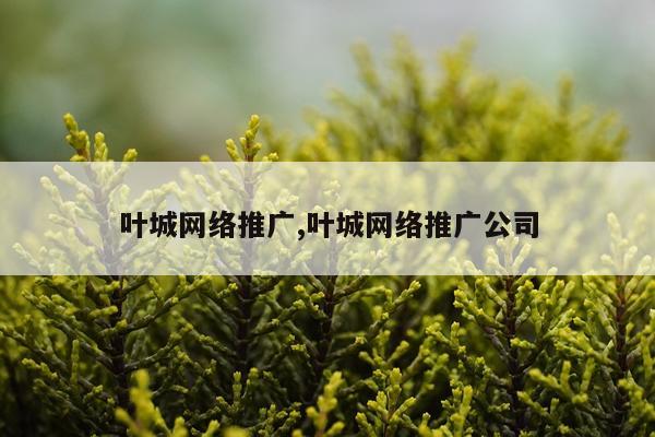 叶城网络推广,叶城网络推广公司