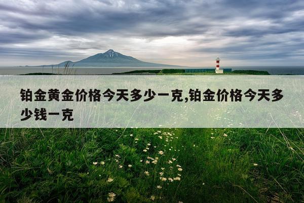 铂金黄金价格今天多少一克,铂金价格今天多少钱一克
