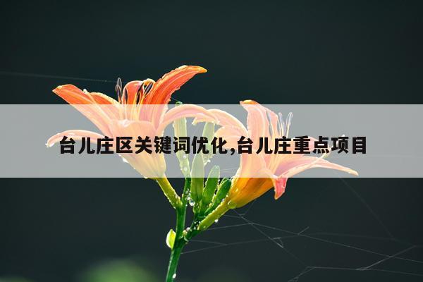 台儿庄区关键词优化,台儿庄重点项目