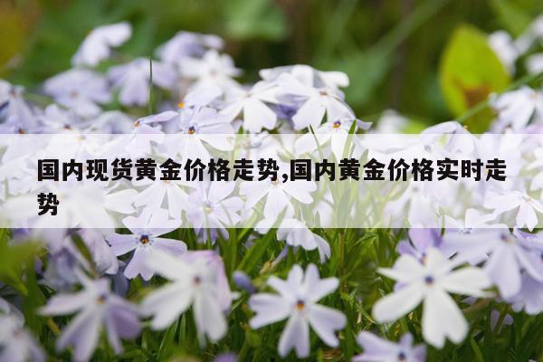 国内现货黄金价格走势,国内黄金价格实时走势