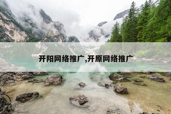 开阳网络推广,开原网络推广