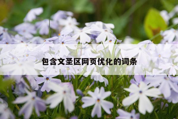 包含文圣区网页优化的词条