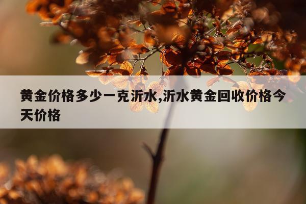 黄金价格多少一克沂水,沂水黄金回收价格今天价格