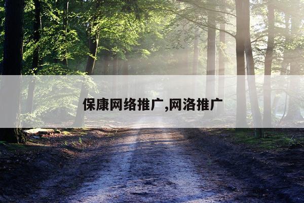 保康网络推广,网洛推广