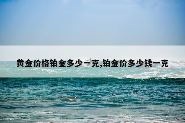 黄金价格铂金多少一克,铂金价多少钱一克