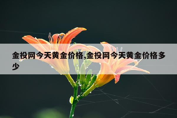 金投网今天黄金价格,金投网今天黄金价格多少