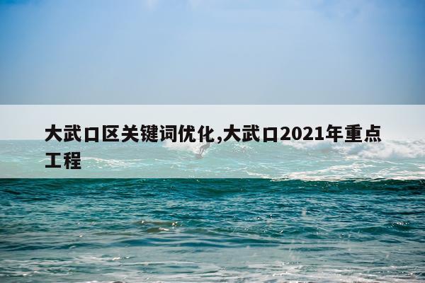 大武口区关键词优化,大武口2021年重点工程