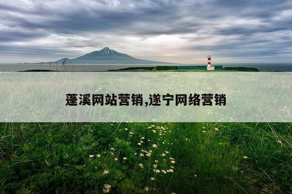 蓬溪网站营销,遂宁网络营销