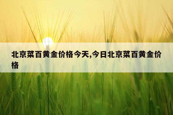 北京菜百黄金价格今天,今日北京菜百黄金价格