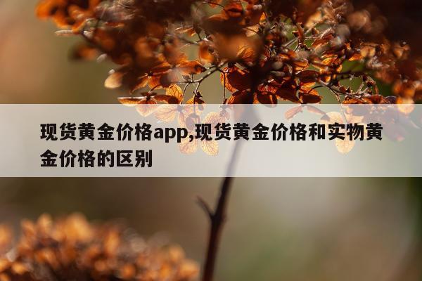 现货黄金价格app,现货黄金价格和实物黄金价格的区别