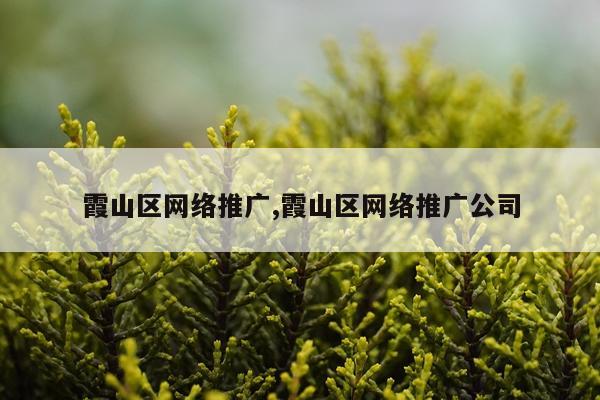 霞山区网络推广,霞山区网络推广公司