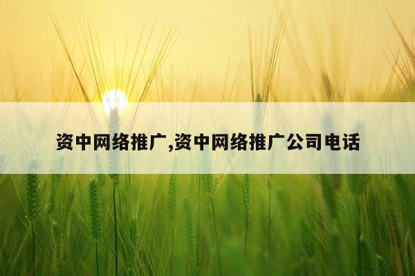 资中网络推广,资中网络推广公司电话