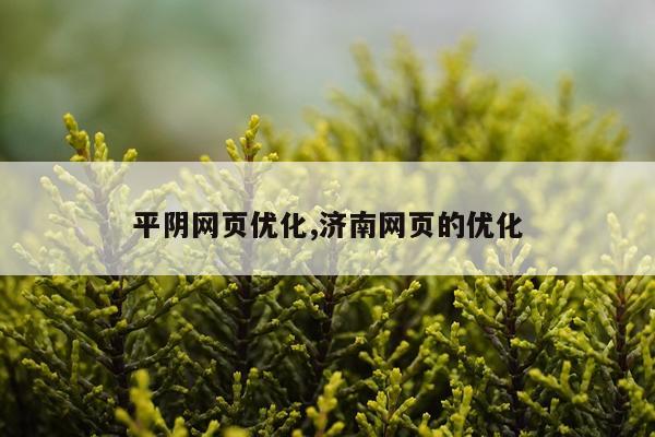 平阴网页优化,济南网页的优化