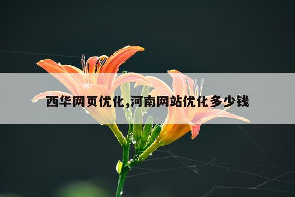 西华网页优化,河南网站优化多少钱