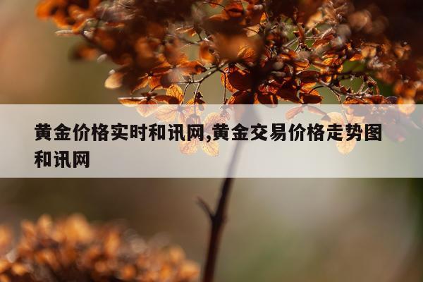 黄金价格实时和讯网,黄金交易价格走势图 和讯网