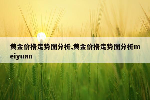 黄金价格走势图分析,黄金价格走势图分析meiyuan