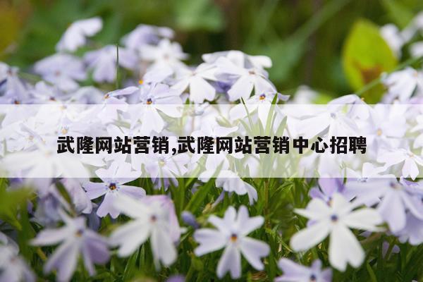 武隆网站营销,武隆网站营销中心招聘