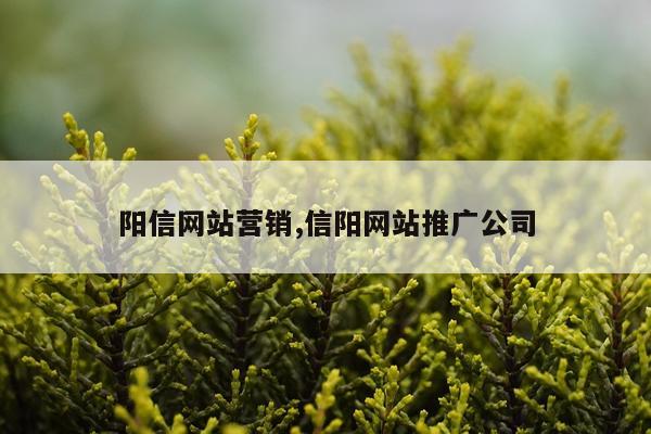 阳信网站营销,信阳网站推广公司