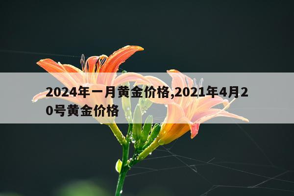 2024年一月黄金价格,2021年4月20号黄金价格