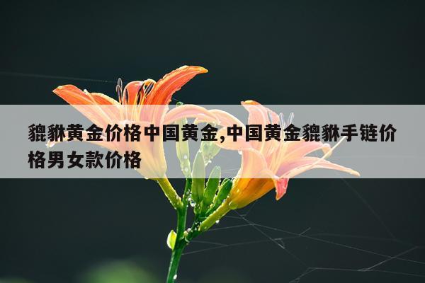 貔貅黄金价格中国黄金,中国黄金貔貅手链价格男女款价格