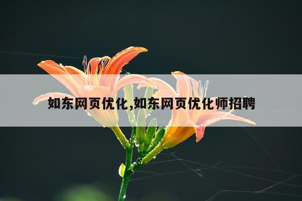 如东网页优化,如东网页优化师招聘