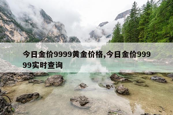 今日金价9999黄金价格,今日金价99999实时查询