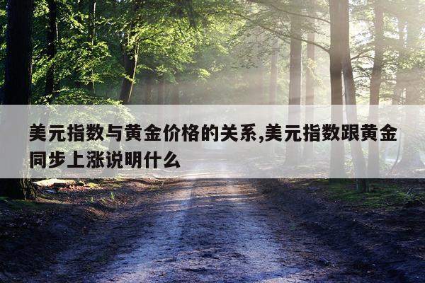 美元指数与黄金价格的关系,美元指数跟黄金同步上涨说明什么