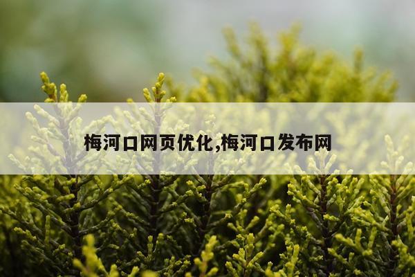 梅河口网页优化,梅河口发布网