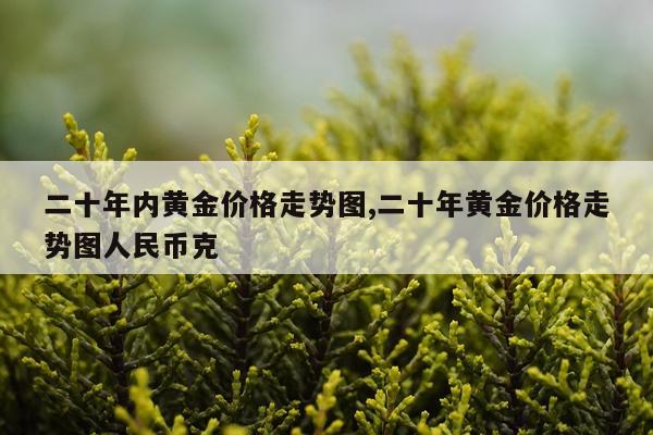 二十年内黄金价格走势图,二十年黄金价格走势图人民币克
