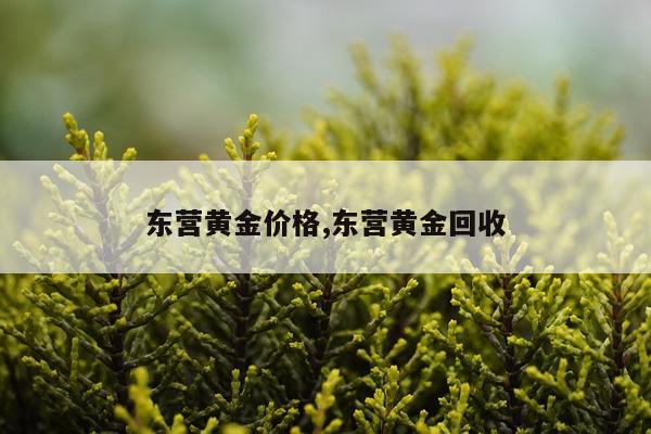 东营黄金价格,东营黄金回收