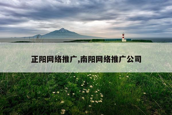正阳网络推广,南阳网络推广公司