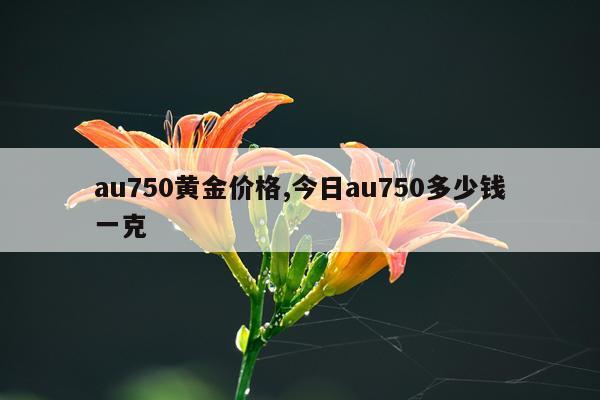 au750黄金价格,今日au750多少钱一克