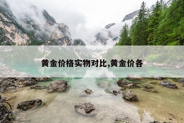 黄金价格实物对比,黄金价各