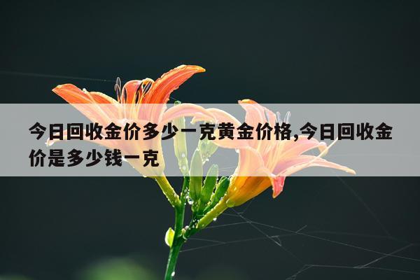 今日回收金价多少一克黄金价格,今日回收金价是多少钱一克
