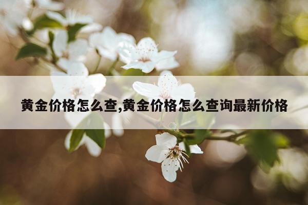 黄金价格怎么查,黄金价格怎么查询最新价格