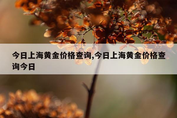 今日上海黄金价格查询,今日上海黄金价格查询今日