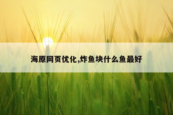 海原网页优化,炸鱼块什么鱼最好
