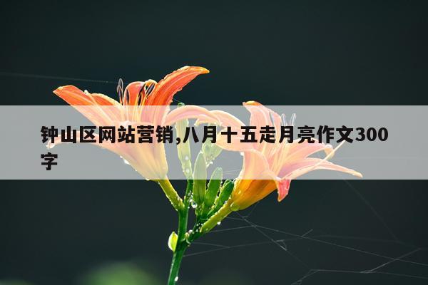 钟山区网站营销,八月十五走月亮作文300字